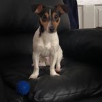Rex Mcgrath - @xrexmcgrathx - Instagram