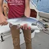 Rex - @rex.mcguire - TikTok