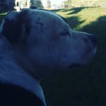 Austin Mclean - @rex_mclean1965 - Instagram