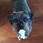 Rex McPherson - Facebook