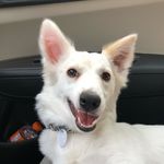 Rex Mehta - @rex.mehta - Instagram