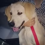 Rex Mendez G. 🐶 - @rexmendez02 - Instagram