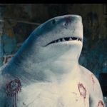 Rex Mercer17 - @rexmercer17 - Instagram