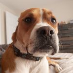 Rex Mercer - @rexlikestoflex_ - Instagram