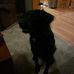 Rex Meredith - Facebook