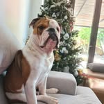@rexcrazymetz - Instagram