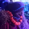 Michael rex - @michael.rex09 - TikTok