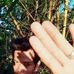 Rex Michael Sari - Facebook
