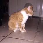 Rex Middleton - Facebook
