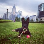 Zeus & Rex Middleton - @zeusnrex - Instagram