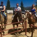 Rex Mitchell - @rex.mitchell.142 - Instagram
