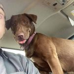 Rex Montgomery - @mont316 - Instagram