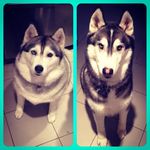 Rex & Reinna Morrison - @rexandreens - Instagram