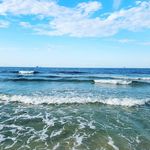 Rex Morrison - @rexmorrison - Instagram