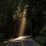 Rex Morrison - @rexmorrisonts - Instagram