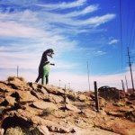 Jeff Morse - @jeffreysaurusrex - Instagram
