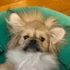 rex_morton - @rex_morton - TikTok