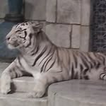 Rex Muller - @rexmuller8 - Instagram