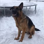 Rex Von Müller III - @rex_von_muller_iii - Instagram