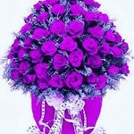 Rex  Munson - @bishopfrankloanfirm - Instagram