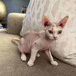 Nash Murphy - @nashdevonrex - Instagram