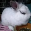Rex Ng - @2166522498 - TikTok