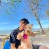 Rex O'noel Dshs - @rex_onoel - TikTok