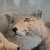 Rex Norton - @rex.norton5 - TikTok