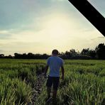 Rex Ocampo - Facebook