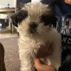 Oliver Rex - @oliver.rex5 - TikTok