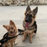 Rex and Oliver - @rexnoli - Instagram