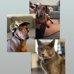 Rex-Finn-Oliver - @rexfinnoliver - Instagram