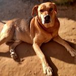 Rex Oliver - @rex.oliver_ - Instagram