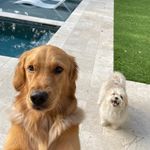 Rex Oliver & Gus Michael Evans - @rexie_and_gus - Instagram