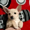 REX (OLIVER) - @rex.oliver6 - TikTok