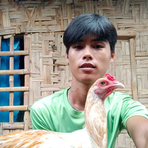 Backyard Ni Rex - Facebook