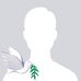 Rex Pak - Facebook