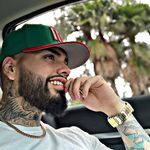 Rex Palmer - @rexpalmer16 - Instagram