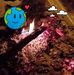 Rex Paloay - Facebook