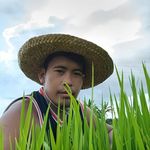 Rex Palomares - @palomaresrex - Instagram