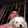 Rex Paloso - @rex.paloso - TikTok