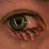 Rex Parr - @rex.parr6 - TikTok