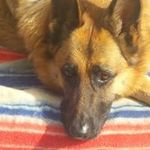 Rex Parsons - @rex.parsons.49 - Instagram