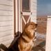 Rex Parkridge - Facebook