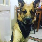 Rex_Passion - @rexma2019 - Instagram
