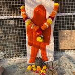 Rex Patel - Facebook