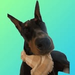 Tobias (Toby) Rex Patrick 🤠 - @toby.the.doby - Instagram