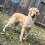 Donna Rex Payne - @scoutswatch1 - Instagram