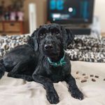 Rex Payne - @gypsy2695 - Instagram