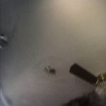 Rex Pearson - @rex.b.pearson - Instagram